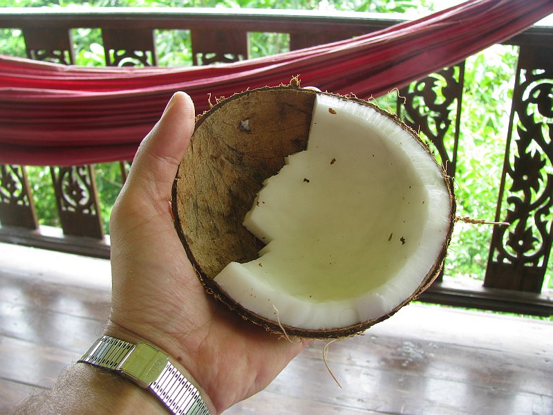 Eine Kokosnuss schälen, essen ist ziemlich viel Arbeit...selbst das kauen ist extrem mühsam...kein Wunder dass die Nüsse hier alle verrotten